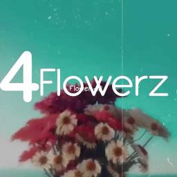 4flowerz | Chill • Hangout • Nitro • Giveaway • E-Girls • Banner