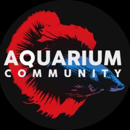Aquarium Community