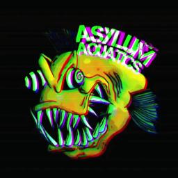 Asylum Aquatics