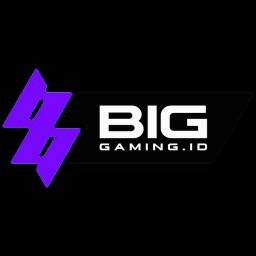 BIG Gaming [teambigg]