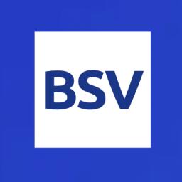 BSV Discord