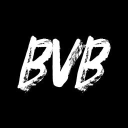 BVBSERVER.COM