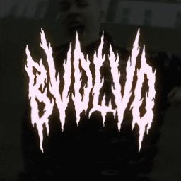 BVDLVD OFFICIAL