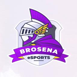 BroSena eSports