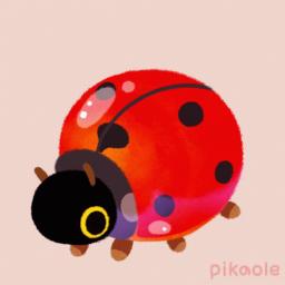 Coccinelle