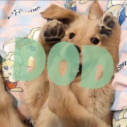 Dogs of Discord | Social • Animals • Giveaways • Emojis • Pets • Anime • Chat • Emotes • Gaming