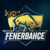 Fenerbahçe #6.2K