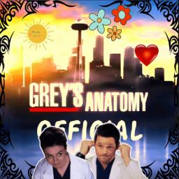 Grey's Anatomy Official Fans and Shows • Social | TV Shows | Emotes | Chill | Fandom