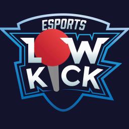 Low Kick Esports