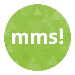 Mapset Management Server