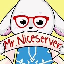 Mr.Niceserver