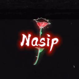 Nasip