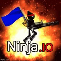 Ninja.io