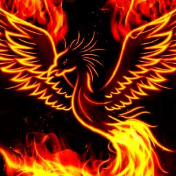 Phoenix Rising