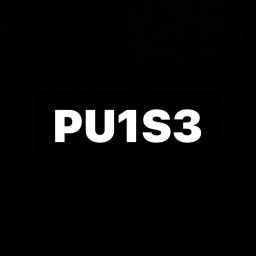 Pu1s3 (NEW)