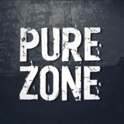 Pure Zone S.T.A.L.K.E.R RP