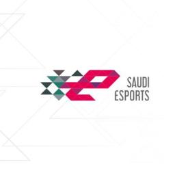 Saudi Esports Federation