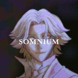 Somnium Co.