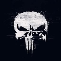 TP | The Punisher