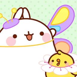 ✿﹒Molang Hangout