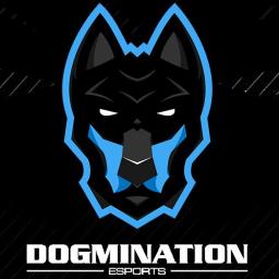 Dogmination Esports - CS:GO España