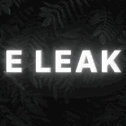 E LEAK REPLACE !