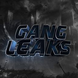 </Gang Leaks >