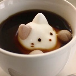 ꒰・ Kitty Kafe ๑