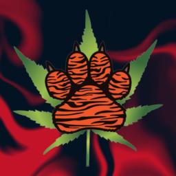 Stoned Tigers