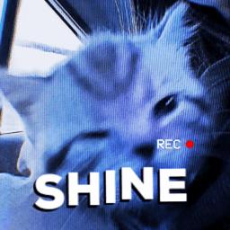 ⩇⩇ ⋅  /̶﹫ shine ☁◗