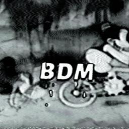 ・BDM