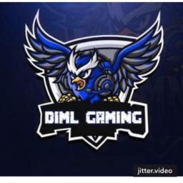 DIMLgaminG   | DG Network
