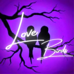 Lovebirds | Dating・Social・Egirls・Edate・Active・Fun・Vcs・Voice Chat・Nitro・Emotes・Community