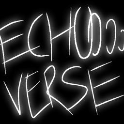 Echo Verse LLC