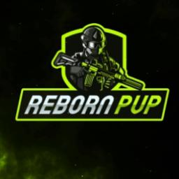 RebornPVP