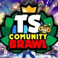 TS Comunity Brawl