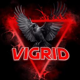 VIGRID DAYZ