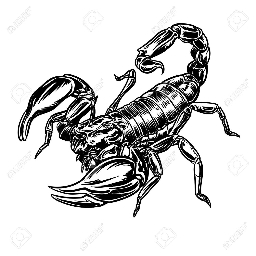 La madriguera de escorpion21