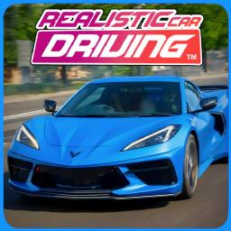 Realistic Car Driving™