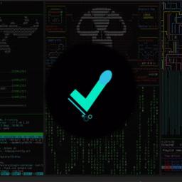 Security | مـنـصة صـحيـح