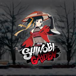 Shinobi Gaiden X: Road to Ninja