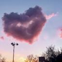 SweetHeart Sanctuary