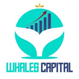 Whales Capital x STAX