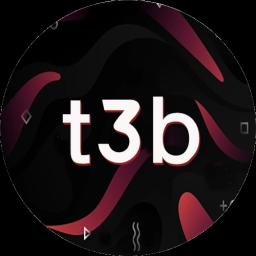 t3b