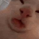 /xtremis hub   ₊˚✧ ﾟ | 2K+