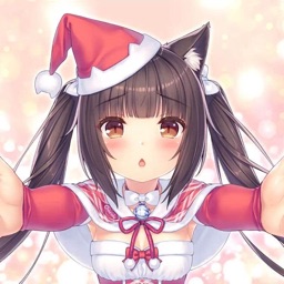 ꒰ ❄ ꒱﹒Nekos Society┊ 20K