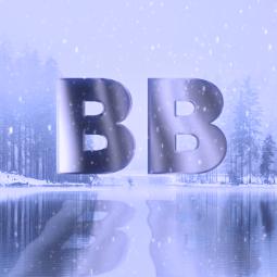 BucketBlox|BloxFruitServices