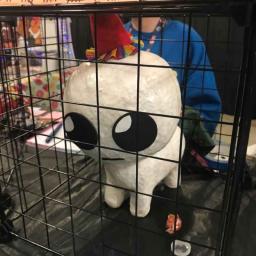 Mantenimiento Gang lol