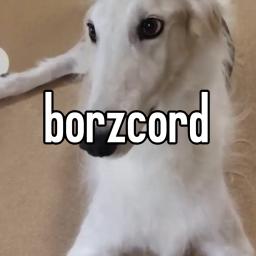 borzcord