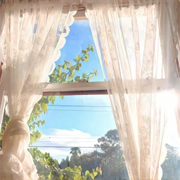 (⁎⁍̴̛ ₃ ⁍̴̛⁎) sunlit ⟢ rt2k ノ DJ2L